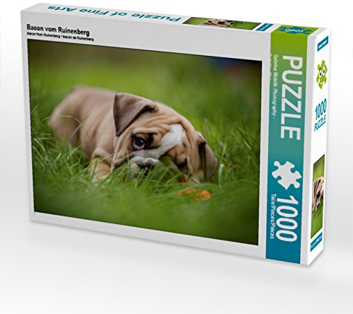 CALVENDO Puzzle Bacon vom Ruinenberg | 1000 Teile Lege-Größe 64 x 48 cm Foto-Puzzle für glückliche Stunden