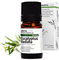 Aroma Labs - Eucalipto Radiata - Aceite Esencial Orgánico - Quimiotipado y Certificado AB - 5 mL