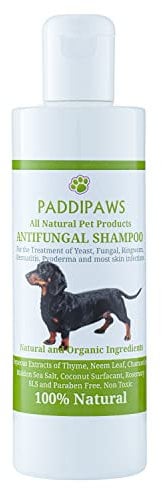 100% Natural Antifungal and Antibacterial Dog Shampoo - Yeast Infections, Ringworm, Dermatitis, Pyoderma - Safe - Natural - Paraben and SLS Free - 250ml - Larger bottle available from the store.