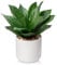 Oairse 25cm Kunstpflanze im Topf Kunstpflanze Agave Deko Modern Kunstpflanzen Kunststoff Pflanzen Deko für Wohnzimmer Balkon Schlafzimmer Badezimmer Zimmer Tischdeko
