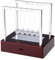 Wakects Newton cradle Balance balls Game 5 GlasBall Pendulum,Buntes LED Licht Pendelkugeln with Base Gleichgewicht Physik Pendel,Stress Relief Spielzeug Ornament,12 x 9 x 12 cm