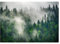 Fototapete Wald im Nebel Landschaft Panorama Bäume Natur - inkl. Kleister - für Wohnzimmer Schlafzimmer Flur Vlies Tapete Vliestapete Wandtapete Motivtapeten Montagefertig (104x70 cm)