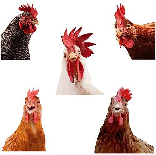 SUPERDANT Bunter Hahnenkopf Wandtattoo Realistischer Wandsticker Niedliche Geflügel Wandaufkleber Abziehen Und Aufkleben Abnehmbare Vinyl Wandsticker Für Spielzimmer Bauernhof Hühnerstall Zoos