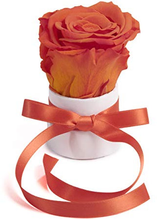 ROSEMARIE SCHULZ Heidelberg Kleine Rosenbox weiß rund Infinity Rose - Blumenbox 1 konservierte Rose (Weiß-Orange)