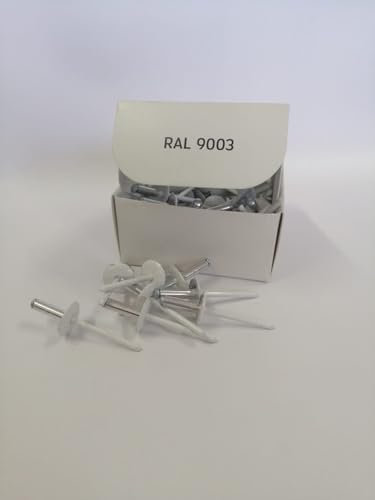Popnieten lackiert RAL 9003 Weiß / 4,8 x 16 x 16 mm