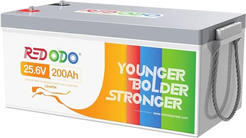 Redodo Batterie Lithium 24V 200Ah,LiFePO4 avec BMS 200A,capacité énergétique Max. 5120Wh, 4000-15000 Cycles Profonds, Alimentation de Secours pour système Solaire, Camping-Car, Moteur de traîne.