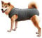 Dog Recovery Suit Cat Abdominal Wound Protector Puppy Medical Surgical Clothes Post-operative Vest Pet After Surgery Wear Substitute E-collar & Cone (XL, Grey)