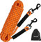 Taglory Schleppleine 10m für Hunde | Reflektierendes Seil | Doppelter Haken | 8mm Orange