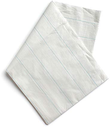 Papier-Einmallaken 100cm x 200cm Tragelaken Einweg-Laken (25 Stück)