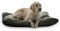4L Textil ZOE Hundekissen wasserfest mit Bezug Hundebett wasserabweisend Hundekissen mittelgroße Hunde waschbares Hundebett mittelgroße Hunde (80x60 cm, Dunkelgrün)