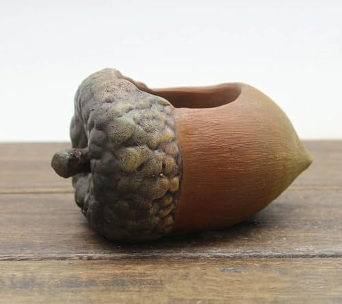 ROOGO Mini pot de fleurs mignon en résine pour plantes grasses (gland)
