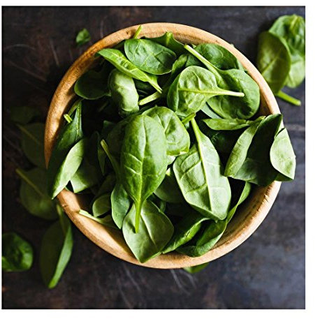 Glasbild 30 x 30 cm Wandbild Glas Küche Kräuter Gewürze Deko Spinat Wanddeko Einrichtung Wohnen Dekoidee