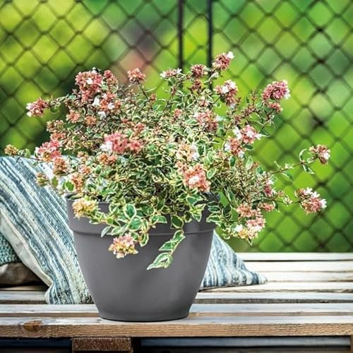 Deroma Pot de Fleurs Ninfea R Anthracite a Reserve deau - Coloris Gris Anthracite - 34cm
