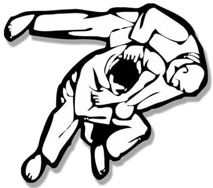 WildeBabsKLBT 11cm Hochwertiger Auto-Aufkleber Sticker Decal Autoaufkleber Aufkleber-Folie Wetterfest Jiu Jitsu Throw F3462