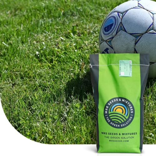 Action: Semences de gazon | 2 kg pour 100 m² | Gazon Sport et Jeux | Ultra Résistant | Entretien facile | Résistant à l'ombre et à la sécheresse
