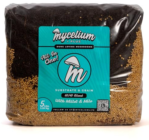 Mycelium Substrat de champignons et mélange de grains de mil/milo de qualité supérieure pour champignons – Formule tout-en-un de qualité supérieure à base de coco, vermiculite et gypse avec mélange