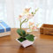 DAZZLEEX Bonsai artificiale, orchidea farfalla artificiale, fiore finto con vaso, pianta bonsai artificiale per la decorazione della tavola, bianco