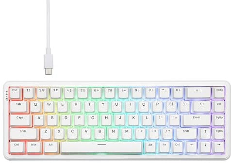 MechLands AK680 MAX Wired Gaming Keyboard mit Hall-Effekt Schalter, Rapid Trigger Magnetic Keyboard mit 8K Polling Rate, Top Struktur, RGB (Weiß)