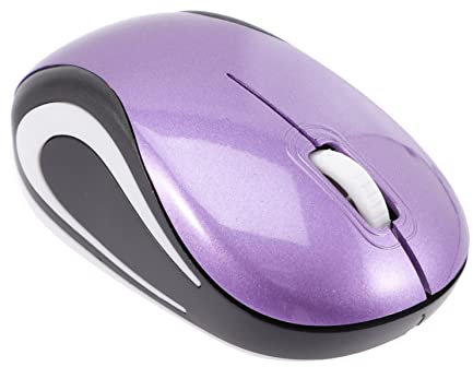 Holibanna Souris sans Fil Silencieuse Et Rechargeable USB pour Ordinateur Portable avec Récepteur USB 2.4 Ghz - Pratique pour Utilisation Au Bureau Et À Domicile