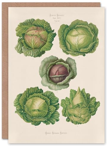 Artery8 Ernst Benary Art Card Cabbage Varieties Vintage Botanical