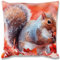 Bestlivings 2er Pack Kissenbezug, Beidseitiger Fotodruck Motiv in 40x40cm, Kissenhülle Bezug mit Reißverschluss (Design: Eichhörnchen)
