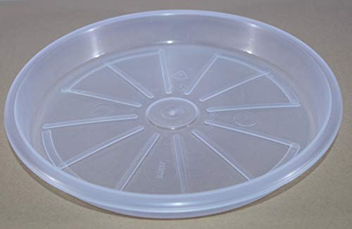 Idel sottovaso Terme 17 Trasparente (1, 24 CM)
