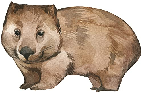 Samunshi® Wombat Aufkleber Autoaufkleber für Motorrad Fahrrad Roller oder Auto Sticker Babyaufkleber Kinderaufkleber - 50x32cm mehrfarbig
