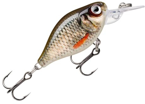 Rapala - X - Light Kurbel Mid Runner Fischereiköder Kunststoffkonstruktion - Köderfluss Wasser schweben - Statte 1,8 m - Größe 3,5 cm / 4g - Made in Estland - Live -Kakerlake