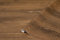 d-c-fix Möbel-Klebefolie Flagstaff Oak Holz-Optik 45 cm x 2 m - Möbelfolie selbstklebend Deko-Folie Küchen-Schrank Fensterbank Schrankfolie Tisch Holzfolie Eiche Vintage Industrial dunkelbraun