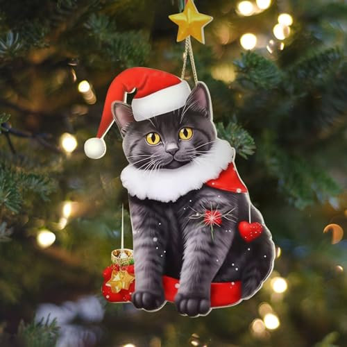 Katze mit Weihnachtsmütze Weihnachtsanhänger Personalisiert Weihnachtsbaumschmuck Schwarz Weihnachtsschmuck Baum Weihnachtsdekoration Christbaumschmuck Katze