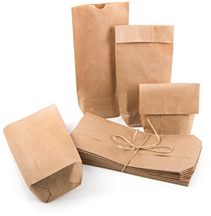 Logbuch-Verlag 50 kleine braune natur Papiertüten als Verpackung für Kleinigkeiten Gäste Geschenk Tüten 10,5 x 22 x 4,5 cm lebensmittelecht