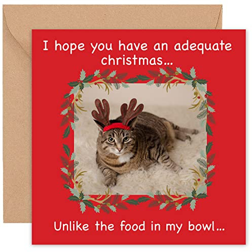 Felbridge Studio - Katzen-Weihnachtskarten – Lustige humorvolle Weihnachtskarte für Tochter, Sohn, Mutter, Vater, Ehemann, Ehefrau, Freunde, Familie, Cousin, Freund, Ihn, Ihre Oma – Luxuriöses