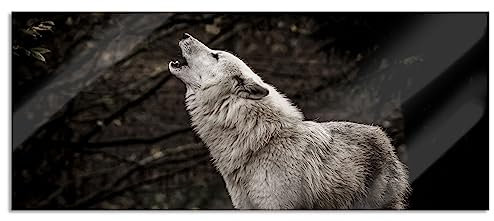 Pixxprint Glasbild Panorama, Wandbild aus Echtglas, Weißer heulender Wolf im Wald, 100x40 cm, inkl. Aufhängung und Abstandshalter