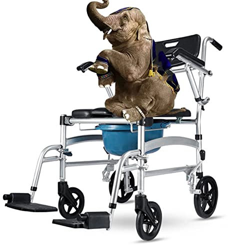 Rollbarer Duschstuhl, Duschstuhl mit Rädern, tragbare Toiletten, umklappbare Pedale, belastbar 140 kg, für ältere Menschen, Behinderte, Handicap (Flipping Armrest a)
