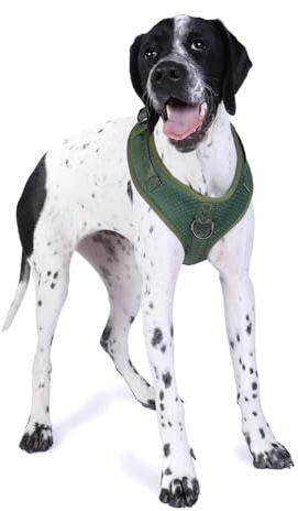 DOOG – Neoflex Hunde-Softgeschirr – Grün – Schnelltrocknend, wasserfreundlich und verstellbar für optimalen Sitz – Ideal für Strandspaziergänge und aktive Hunde im Freien – Größe L