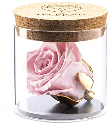 Amoroses Bijou - Ewige stabilisierte Rose mit 24 Karat vergoldetem Kelch im Glasgefäß | Geschenkidee Mädchen Taufe Baby (Rose Rosa)