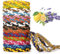Riwer Pulsera Antimosquitos Repelentes de Mosquitos 16 Unidades, protección Natural contra Insectos, Apta para niños, para Interiores y Exteriores - Multicolor Combinación C