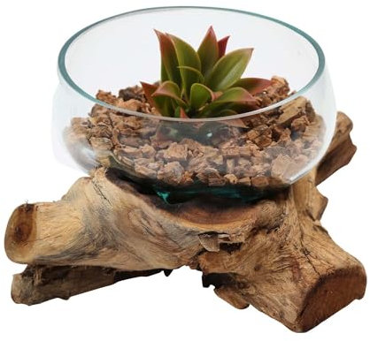 Casa Moro Vase en verre sur bois de racine - Diamètre : 20 m - Hauteur : 10 cm - En verre recyclé et bois de teck - Fait à la main - Extravagant - Vase décoratif naturel - A41