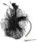 Fascinator Hüte für Damen, Mesh Federn Stirnband mit Clip, Fascinator Hut Damen, Flower Mesh Face Veil Feather Hair Clip, Fascinator Damen, für Masquerade Karnevalshut (Schwarz)