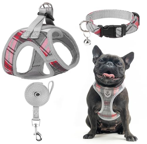 EXPAWLORER Hundegeschirr kleine Hunde mit Leine - Halsband und Leine Set, Hunde Geschirr Welpen mit AirTag Hülle, weiches reflektierendes Welpengeschirr kein Ziehen zum Spazierengehen, Grau L