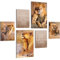 Novart Wandbilder Löwen Afrika Tiere - KOMPLETT AUFHÄNGFERTIG - Beige Wohnzimmer Schlafzimmer Flur - 6 Moderne Mood-Bilder - N036267a