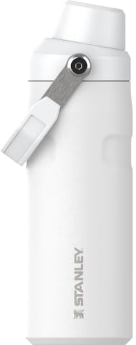 STANLEY IceFlow Schnellflussflasche, 473 g, Frost | Schwenkauslauf | Leicht und auslaufsicher bei Reisen und Sport | Einfacher Tragegriff | Isolierter Edelstahl | BPA-frei