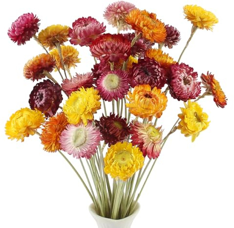 LEIMEND 32Pcs Fiori Secchi Decorativi Composizione Fiori Secchi Margherita