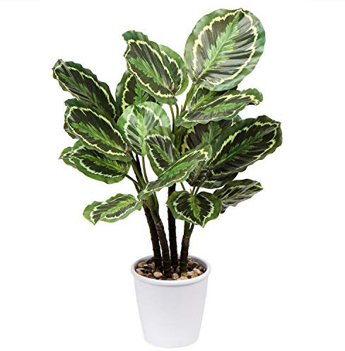 Briful Piante artificiali alte 63 cm, per esterni, 63 cm, grande medaglione di Calathea, piante artificiali per interni, piante tropicali per ufficio, casa, cucina, bagno