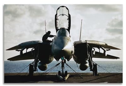 SHJNGU Cooles Luftwaffen-Poster, Motiv: Grumman F-14, Tomcat-Poster, dekoratives Gemälde, Leinwand, Wandposter und Kunstdruck, moderne Familienschlafzimmer-Dekoration, Poster, 30 x 45 cm