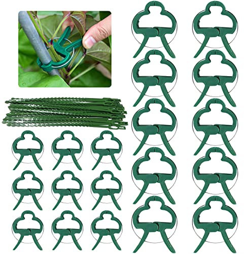 JOKILY 90 Stück Pflanzenclips, Pflanzenhalter für Rankhilfe Tomaten Rosen Gurken und andere, Pflanzen Verbinder für Kletterpflanzen Befestigung, Stabile pflanzenklammern mit 30 Pflanzenbindern