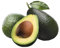 Pianta Albero di AVOCADO esotico frutti tropicali vaso20cm h110cm FOTO REALE AMDGarden
