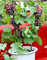 Großer Rabatt! Miniatur-Weinrebe, Terrasse, Syrah Vitis Vinifera, Zimmerpflanze, 50 Früchte, Heim-Obstgarten, 7