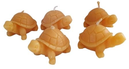 Bienenwachskerze - Schildkröten Kerze 5er Set aus 100% reinem Bienenwachs - Handgemacht - Honigkerze - kerze in Schildkröten form - Tierkerze