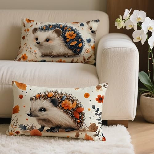 Outdoor Kissen 25x45 cm 2 Stück, Tier Kissenbezug Rechteckig 25x45 Dekorative Kissenhüllen Wetterfest Sofakissen, Igel Kissenbezüge Samtkissen Dekokissen für Sofa Garten Deko Aesthetic 2er Set Q-1949